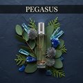 PEGASUS